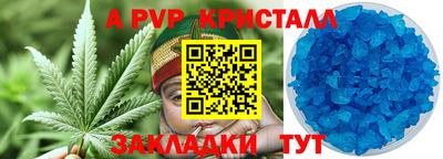 амф Новозыбков