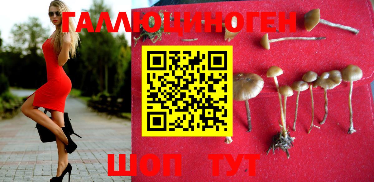 Протвино  Галлюциногенные грибы мухоморы  Вход с VPN 